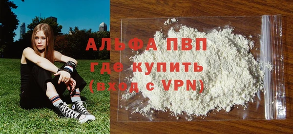сатива Балахна