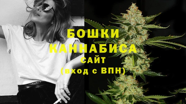 шишки Вязники