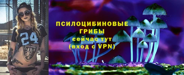 трава Покачи