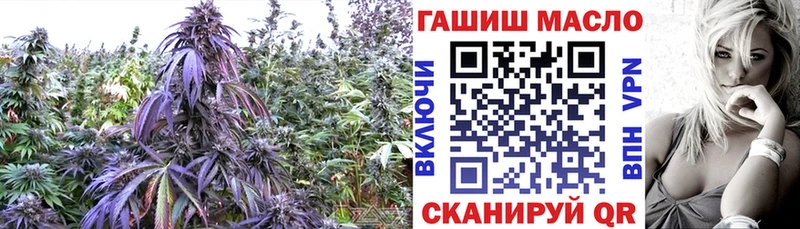 Дистиллят ТГК THC oil blacksprut как войти Белово